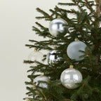 Small Glass Ornament Set - Silver