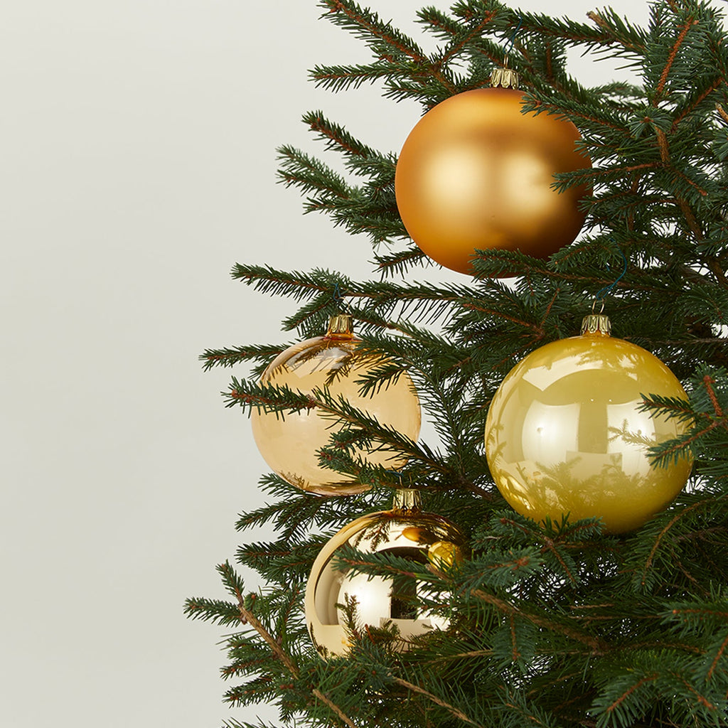 Medium Glass Ornament Set - Gold