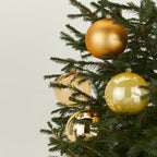 Medium Glass Ornament Set - Gold