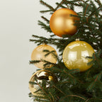 Large Glass Ornament Set - Gold