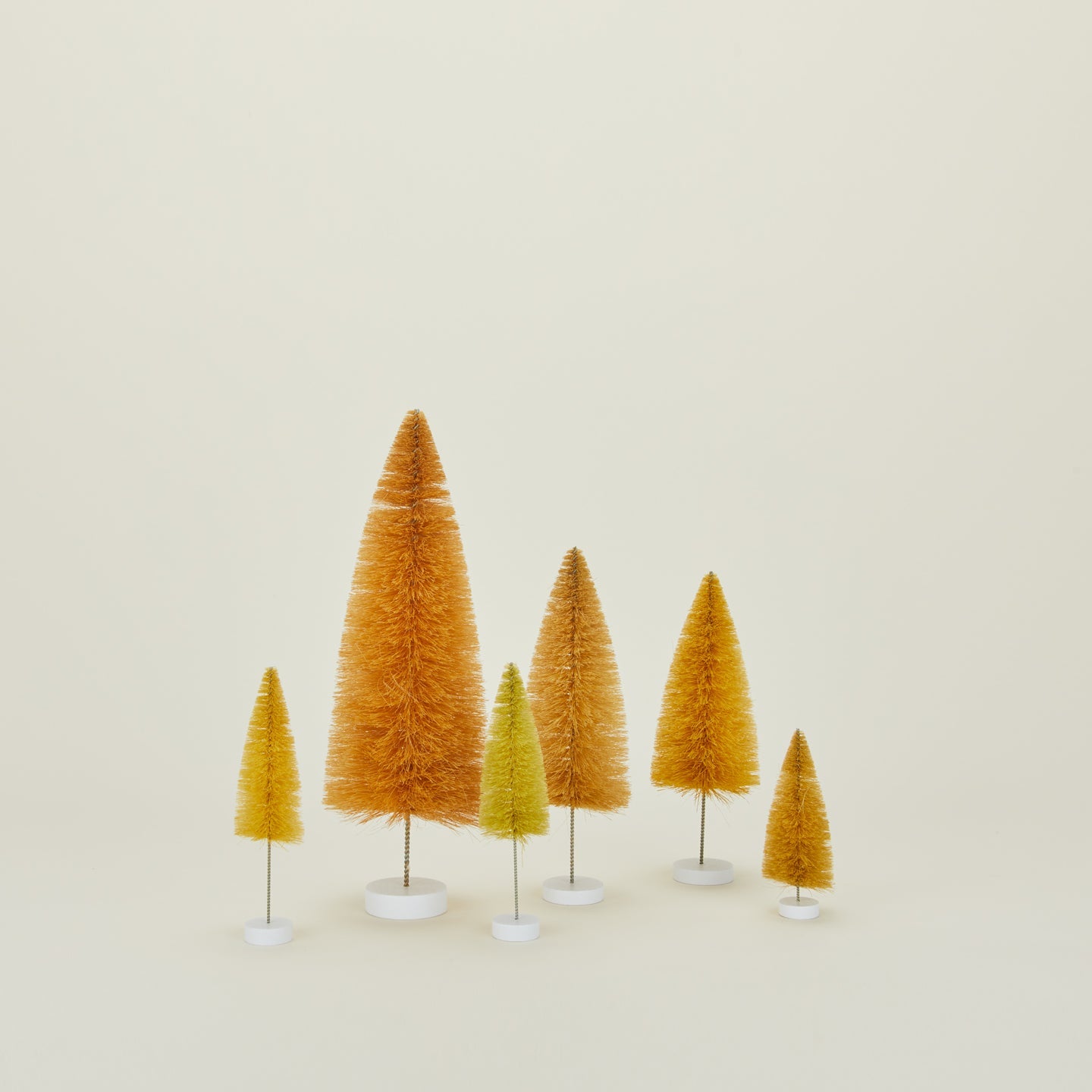 Bottlebrush Forest, Set of 6 - Amber