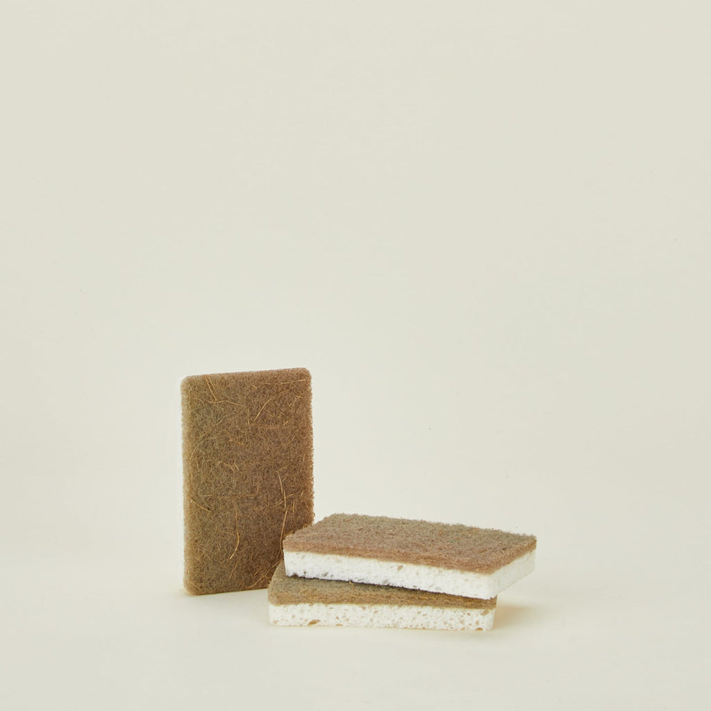 Cellulose and Walnut Sponge, Set of 3