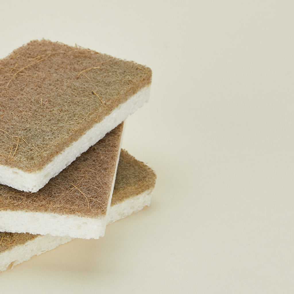 Cellulose and Walnut Sponge, Set of 3