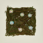 XS Glass Ornament Set - Iridescent