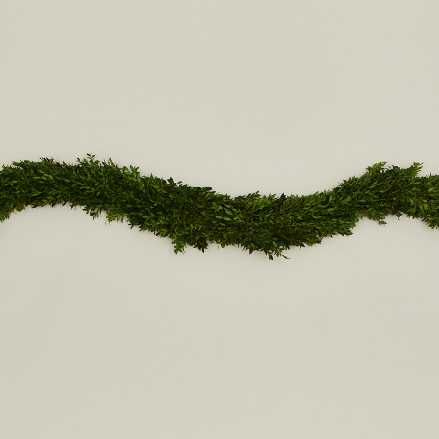 Boxwood Natural Garland
