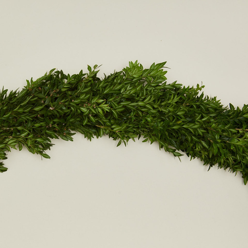 Boxwood Natural Garland