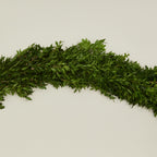 Boxwood Natural Garland
