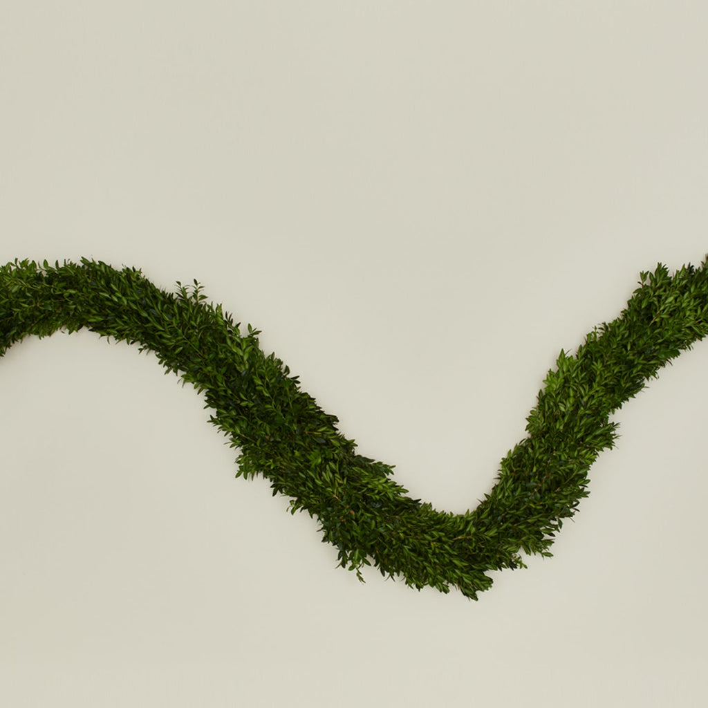 Boxwood Natural Garland