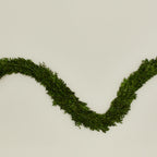 Boxwood Natural Garland