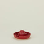 Citrus Juicer - Coral