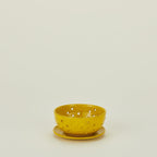 Berry Bowl with Dish - Yellow